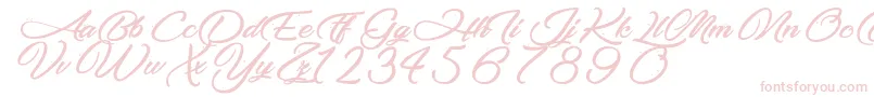 MakingTheQuality Font – Pink Fonts on White Background