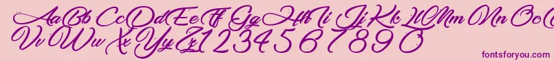 MakingTheQuality Font – Purple Fonts on Pink Background