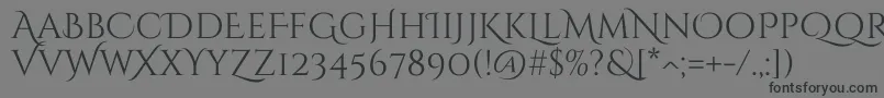 CinzeldecorativeRegular Font – Black Fonts on Gray Background