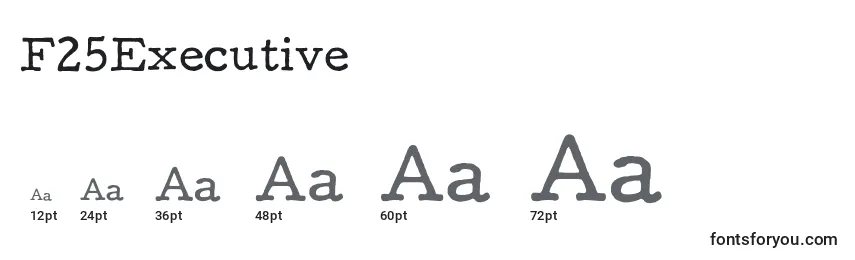 F25Executive Font Sizes