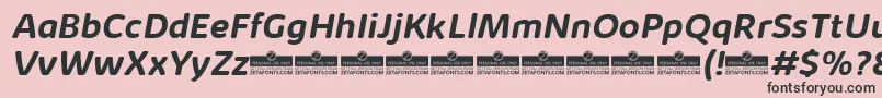 KabrioAbarthBoldItalicTrial Font – Black Fonts on Pink Background