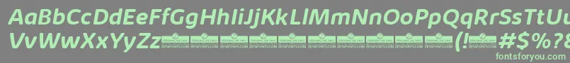 KabrioAbarthBoldItalicTrial Font – Green Fonts on Gray Background