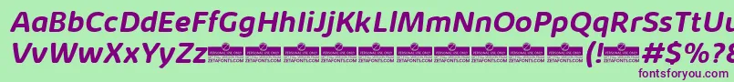 KabrioAbarthBoldItalicTrial Font – Purple Fonts on Green Background