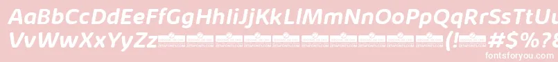 KabrioAbarthBoldItalicTrial Font – White Fonts on Pink Background