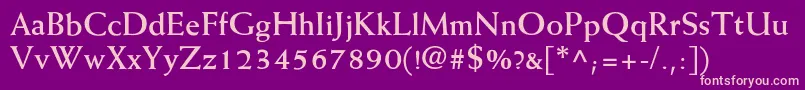 WeissBold Font – Pink Fonts on Purple Background