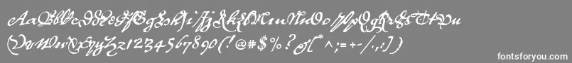 P22royalist Font – White Fonts on Gray Background