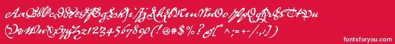P22royalist Font – White Fonts on Red Background