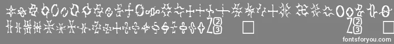 Zone23Foopy2 Font – White Fonts on Gray Background