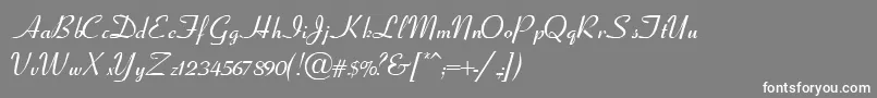 フォントCleaverRegular – 灰色の背景に白い文字