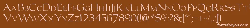 CarlosdbNormal Font – Pink Fonts on Brown Background