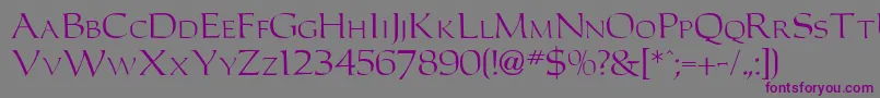 CarlosdbNormal Font – Purple Fonts on Gray Background