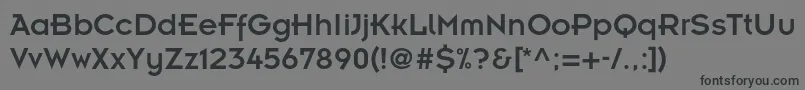 Insignialtstd Font – Black Fonts on Gray Background