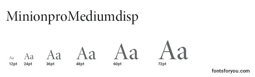 MinionproMediumdisp Font Sizes