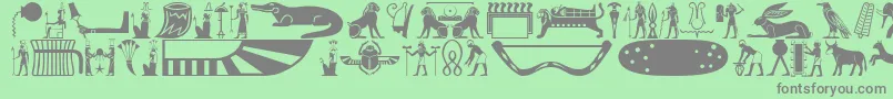 Oldegyptglyphs Font – Gray Fonts on Green Background