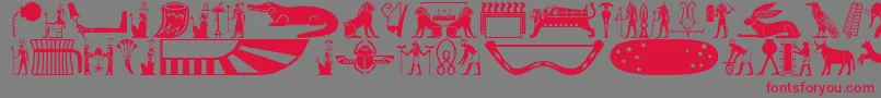 Oldegyptglyphs Font – Red Fonts on Gray Background