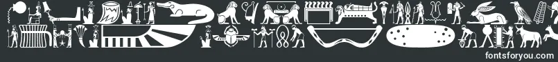 Oldegyptglyphs Font – White Fonts on Black Background