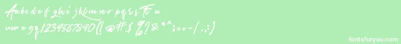 TheAirlinesDemo Font – White Fonts on Green Background