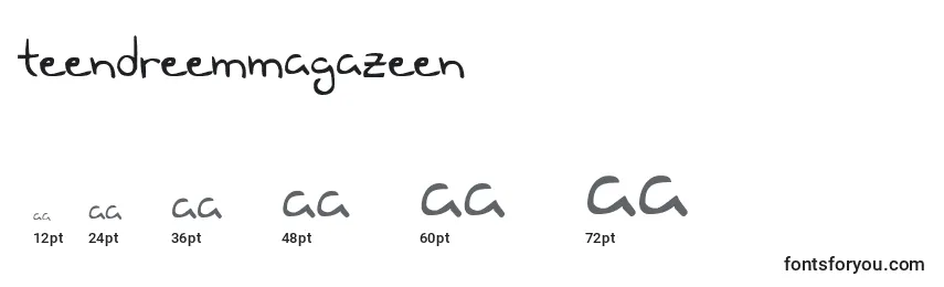 TeenDreemMagazeen Font Sizes