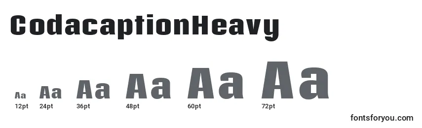 CodacaptionHeavy Font Sizes