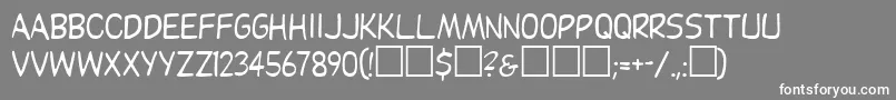 DupuyRegular Font – White Fonts on Gray Background