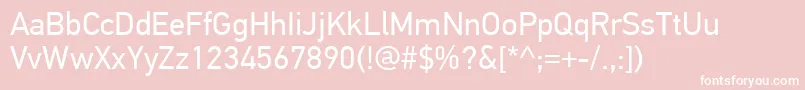 PfdintextproRegular Font – White Fonts on Pink Background