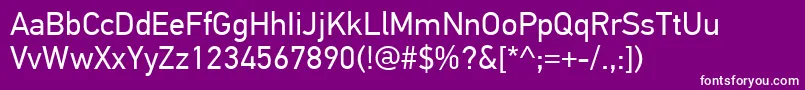 PfdintextproRegular Font – White Fonts on Purple Background