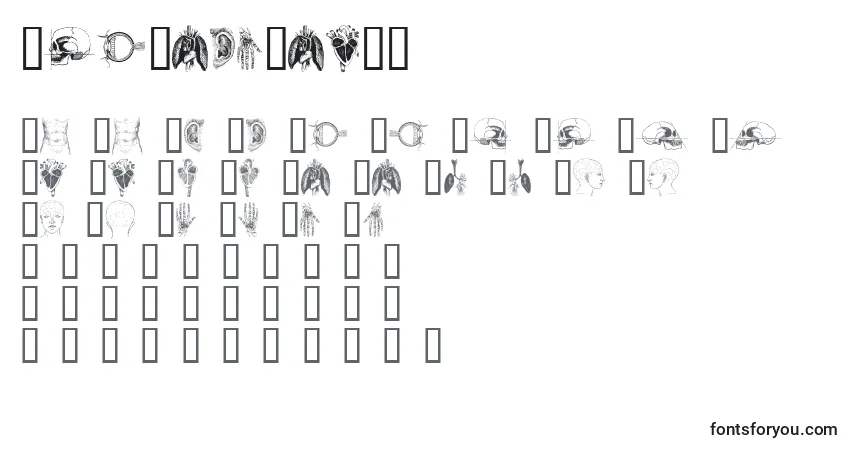 Schriftart TheBodyVol.I – Alphabet, Zahlen, spezielle Symbole