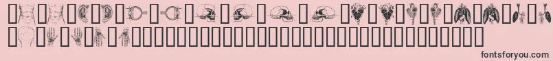 Подробнее о шрифте TheBodyVol.I Шрифт TheBodyVol.I – чёрные шрифты на розовом фоне