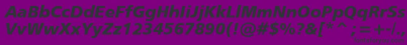 Humanist777BlackItalicBt Font – Black Fonts on Purple Background