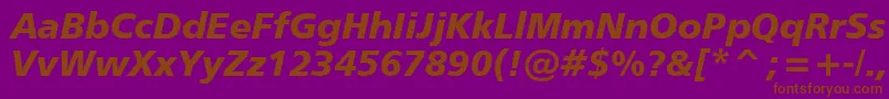 Humanist777BlackItalicBt Font – Brown Fonts on Purple Background