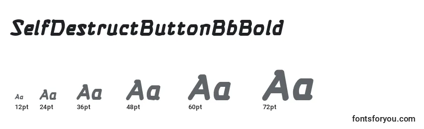 SelfDestructButtonBbBold Font Sizes
