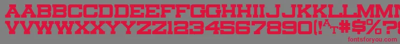 Canarsieslab Font – Red Fonts on Gray Background