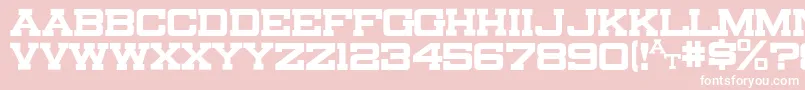 Canarsieslab Font – White Fonts on Pink Background