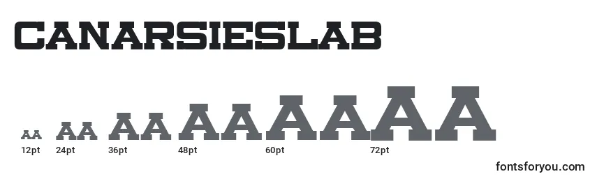 Canarsieslab Font Sizes