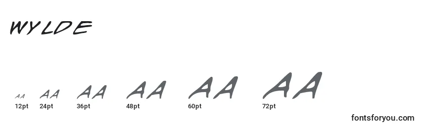 Размеры шрифта Wylde
