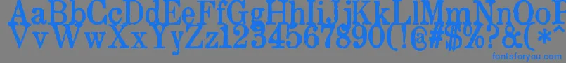 ZaiDrukarniaakademiikrakowskiej1674 Font – Blue Fonts on Gray Background