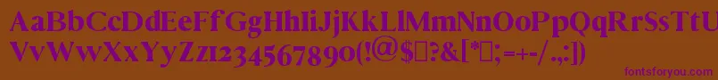 Vincentio Font – Purple Fonts on Brown Background