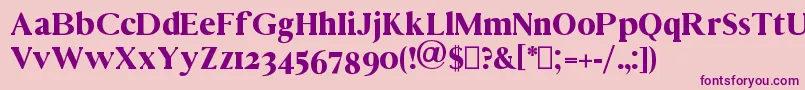 Vincentio Font – Purple Fonts on Pink Background