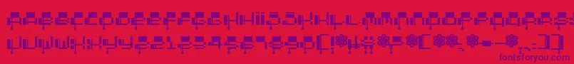 2000 Font – Purple Fonts on Red Background