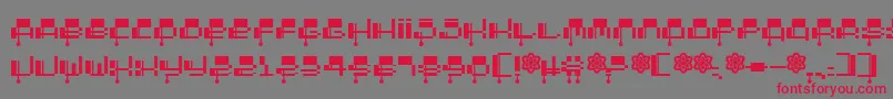 Шрифт 2000 – красные шрифты на сером фоне