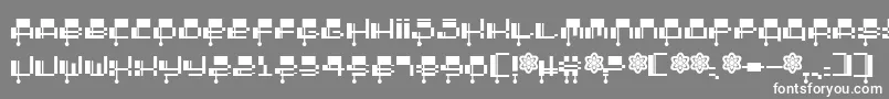 フォント2000 – 灰色の背景に白い文字