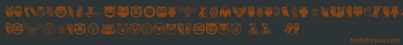 Owl Font – Brown Fonts on Black Background