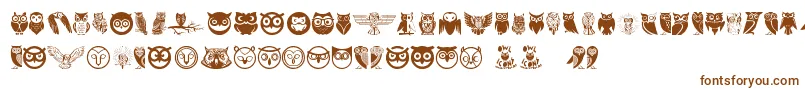 Owl Font – Brown Fonts on White Background