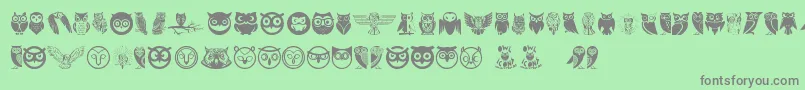 Owl Font – Gray Fonts on Green Background