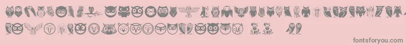 Owl Font – Gray Fonts on Pink Background