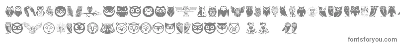 Fonte Owl – fontes cinzentas