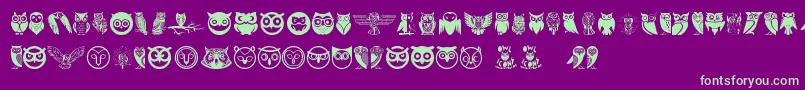 Owl Font – Green Fonts on Purple Background