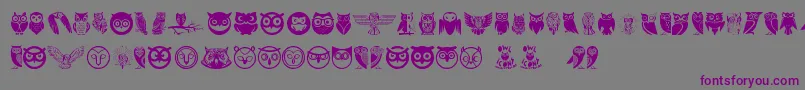 Owl Font – Purple Fonts on Gray Background