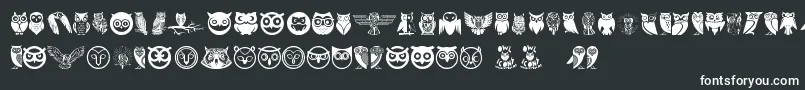 Owl Font – White Fonts on Black Background