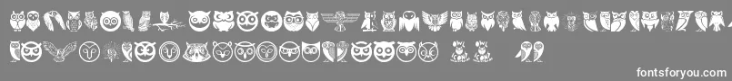 Owl-Schriftart – Weiße Schriften auf grauem Hintergrund